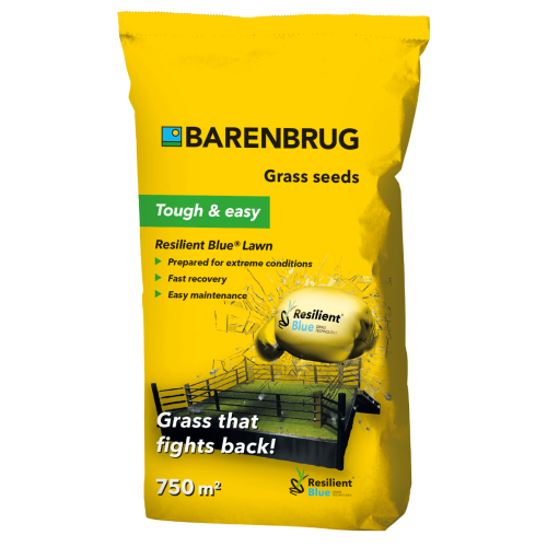 Seminte gazon Resilient Lawn, 15 kg, Barenbrug
