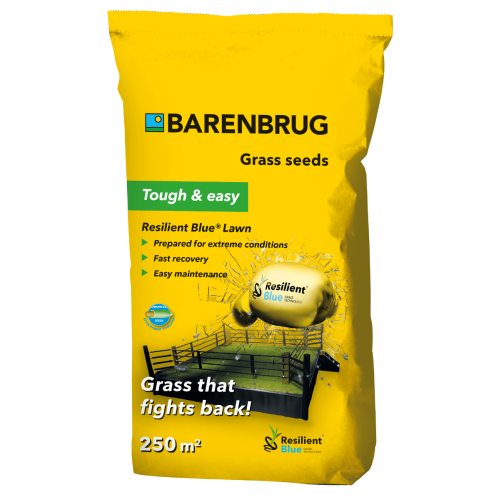 Seminte gazon Resilient Lawn,5 kg, Barenbrug