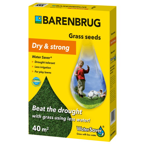 Seminte gazon WaterSaver 1 kg, Barenbrug. Produse pentru profesionale pentru gazon si iarba