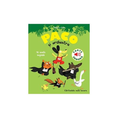 Paco si orchestra. 16 sunete muzicale - Magali Le Huche