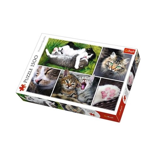 Puzzle viata pisicilor, 1500 piese Trefl