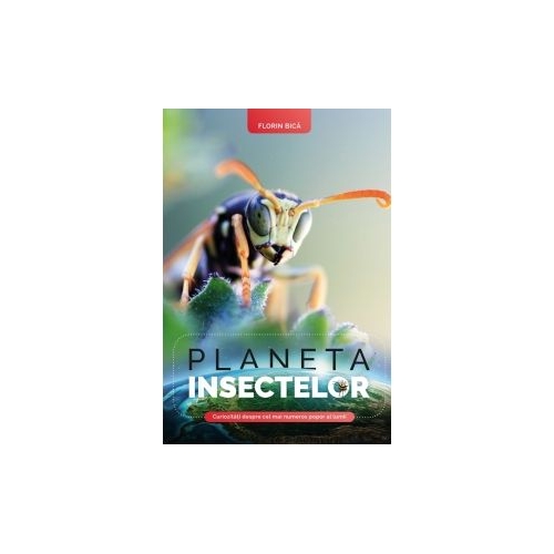 Planeta insectelor - Florin Bica