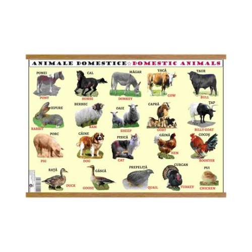Plansa animale domestice / animale salbatice, plastifiata cu agatatoare, editura Carta Atlas