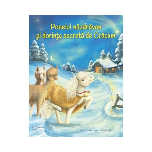 Poneiul nazdravan si dorinta secreta de Craciun - Julia Gerigk, Michaela Holzinger