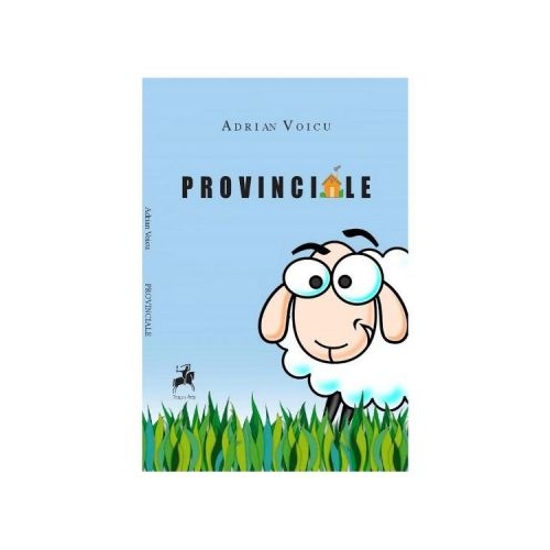 Provinciale - Adrian Voicu
