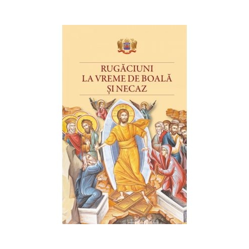 Rugaciuni la vreme de boala si necaz