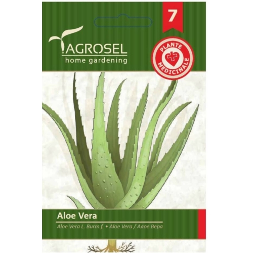 Seminte Aloe vera, 8 seminte, Agrosel