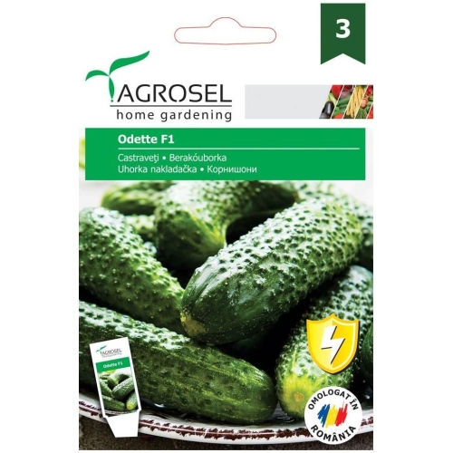Seminte Castraveti Odette F1, 20 seminte, Agrosel
