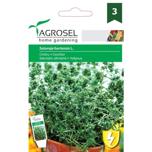 Seminte Cimbru, 1.5 g, Agrosel