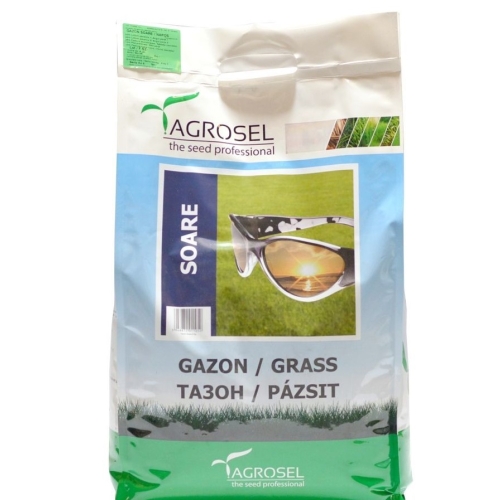 Seminte de gazon Soare, 5 kg, Agrosel