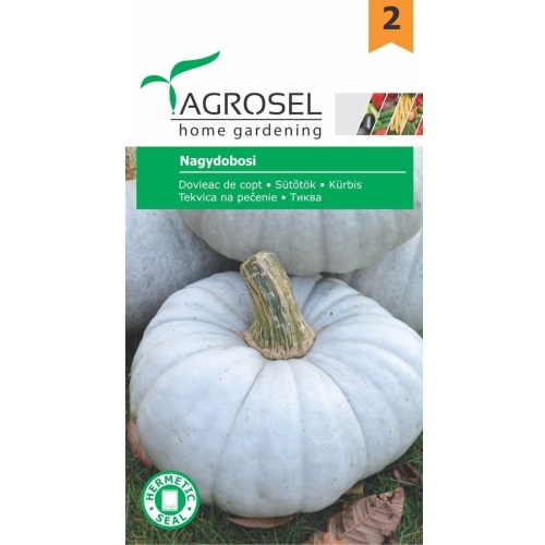 Seminte Dovleac de copt Nagydobosi, 3 g, Agrosel
