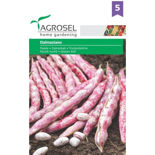 Seminte Fasole Dalmaziano, 45 g, Agrosel