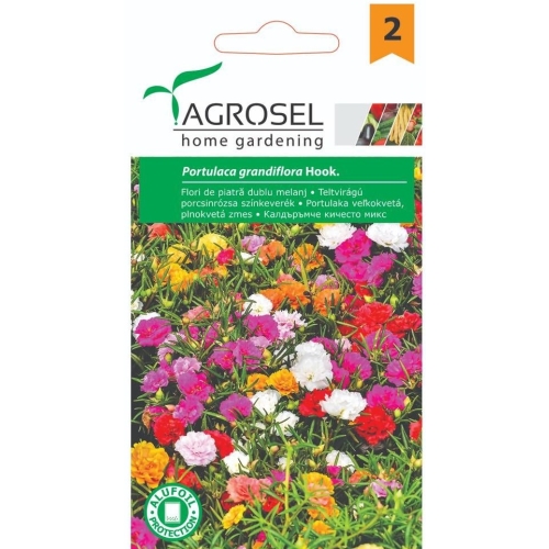 Seminte Flori de piatra dublu melanj, 0.4 g, Agrosel