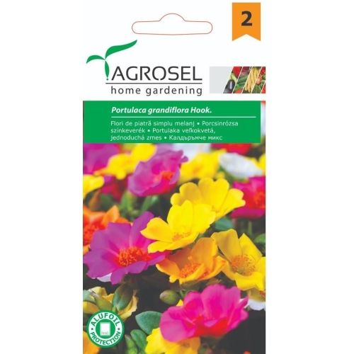 Seminte Flori de piatra simplu melanj, 0.4 g, Agrosel