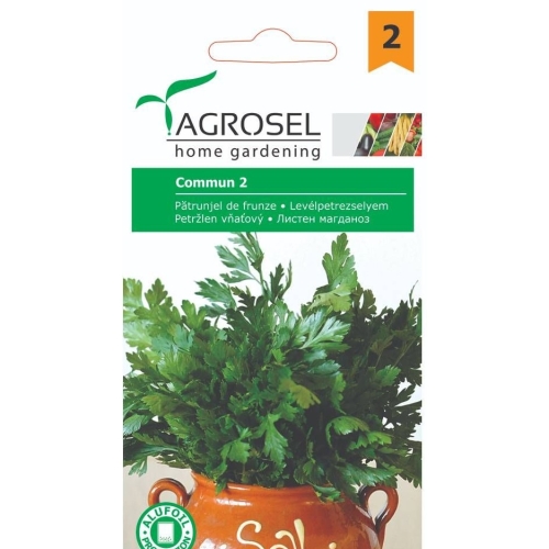 Seminte Patrunjel de frunza Commun 2 / Plain Leaved 2, 3.5 g, Agrosel