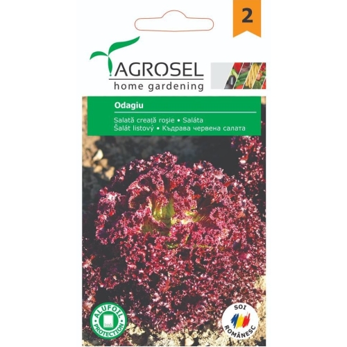 Seminte Salata creata rosie Odagiu, 1.5 g, Agrosel