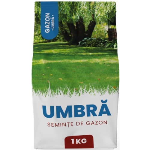 Seminte gazon Umbra 1 kg, Gazonul