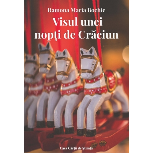 Visul unei nopti de Craciun - Ramona Maria Bochie