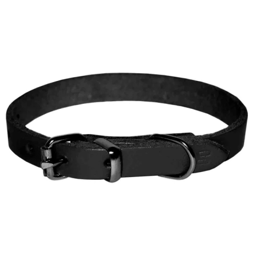 Zgarda 25/530 mm Simpla Neagra 4Dog