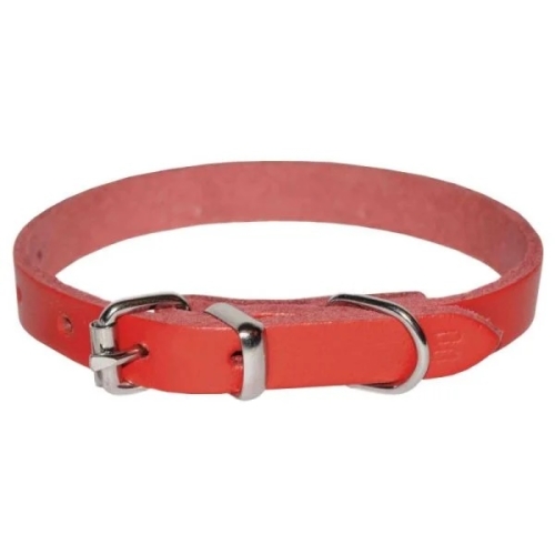Zgarda Pasla Rosie 20x450 mm 4DOG 